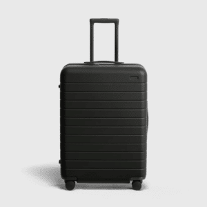 Away The Medium Checked Bag